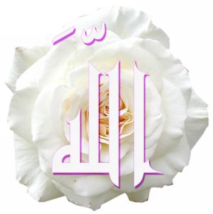 pour toi abdellah
