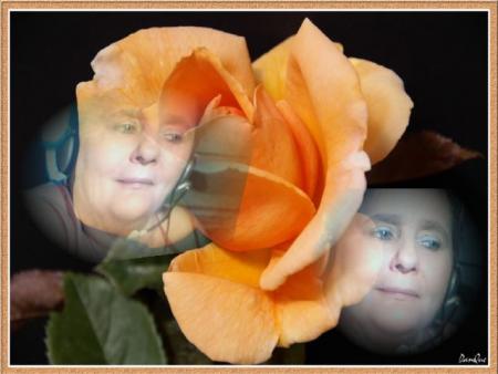 poeme pour lui